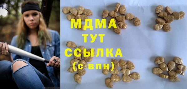 шишки Верея