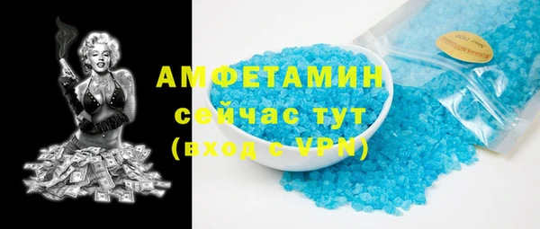 шишки Верея