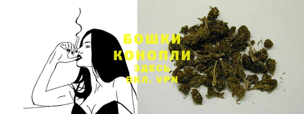 шишки Верея