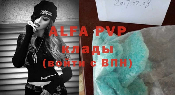 индика Лабытнанги