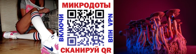 Псилоцибиновые грибы Cubensis  Гатчина 